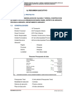 Resumen Ejecutivo 1