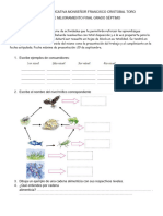 Plan de Mejoramiento Grado 7 Segundo Periodo