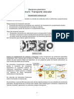 Transporte Vesicular