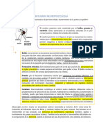 Resumen Neuropsicologia