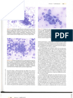 5 DIAGNÒSTICO CITOLÒGICO Y HEMATÒLOGICO Del Perro y El Gato (301 - 400)