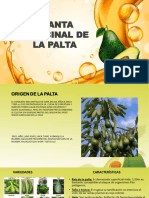 Planta Medicinal de La Palta Palomino