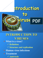 2- Introduction to Viruses Ppt