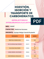 Digestión, Absorción y Transporte de Carbohidratos