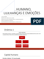 Capital Humano, Liderança e Emoções