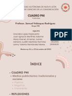 Cuadro Pni - Pub