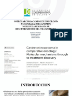 Osteosarcoma No Terminada 2