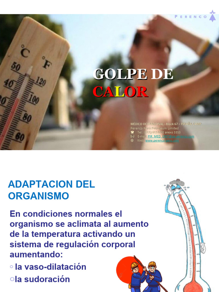 golpe-de-calor-pdf-transpiraci-n-medicina-clinica