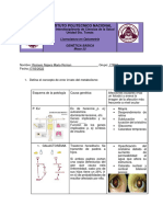 Actividad 1 Genética