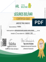 Certificado Identificacion de Peligros Jaime Beltran