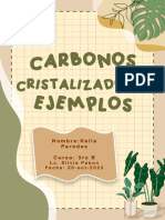 Carbonos C