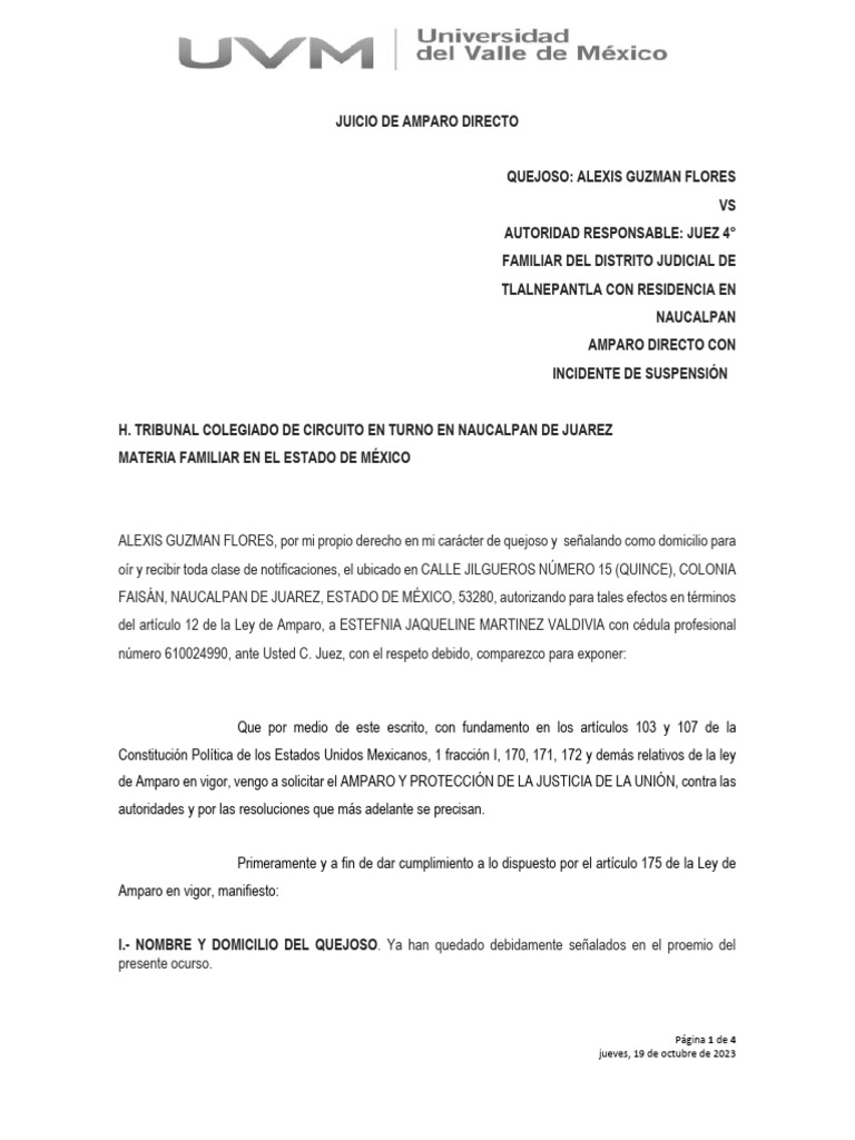 Amparo Directo en Juicio de Divorcio | PDF | Demanda judicial ...