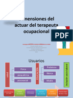 Dimensiones Del Actuar Del Terapeuta Ocupacional