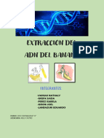 Extraccion Del ADN Del Banano