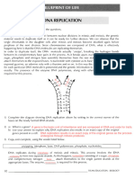 12.DNA Replication WS 