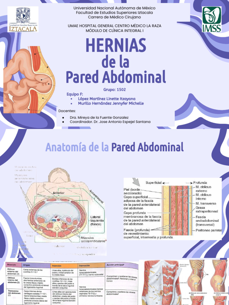 Clasificación y manejo de hernias abdominales | PDF | Abdomen | Pelvis