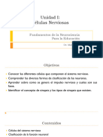 Clase 1 Fisiología Neuronal