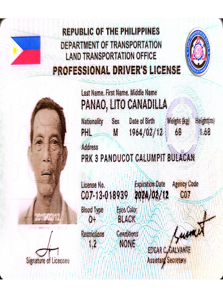 Lito Panao Id | PDF