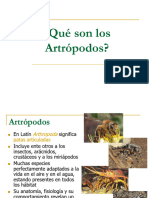 Artrópodos