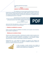 Tema 5. Análisis y Evaluación Económica Del Proyecto