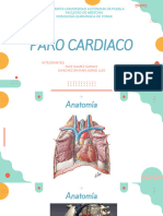 Paro Cardiaco