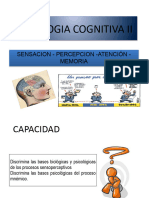 Psicologia Cognitiva II