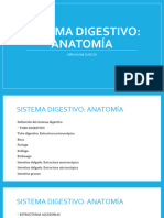 Sistema Digestivo