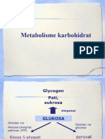 Metabolisme KH