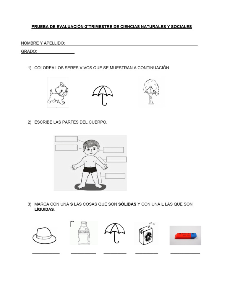 evaluacion-3-trimestre-ciencias-pdf