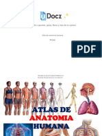 21 Atlas-de-anatomia-humana-UDocz 59pp