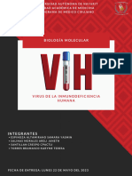 VIH, Resumen Final