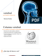 Columna y Craneo