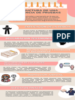 Infografía Estructura de Una Audiencia de Pruebas