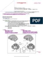 7 Autonomic