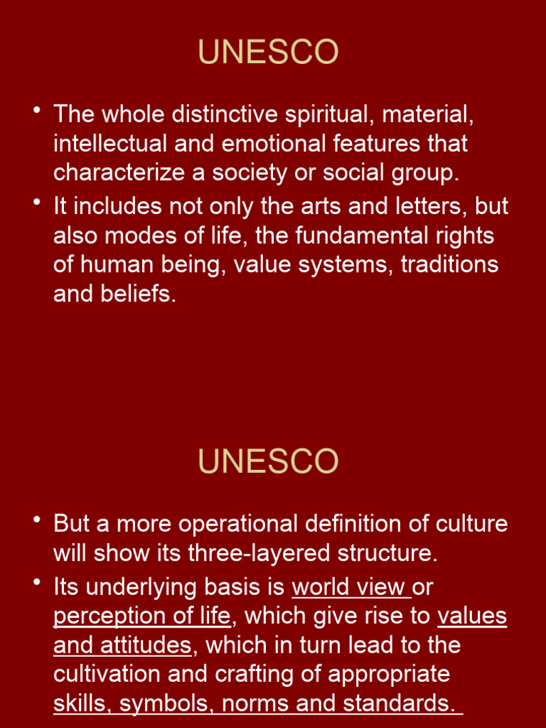 how-society-is-organized-lesson-4-pdf-society-family