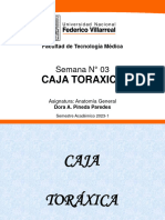 Clase 3 - Caja Toraxica