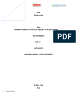 Informe Proyecto-Sem 1