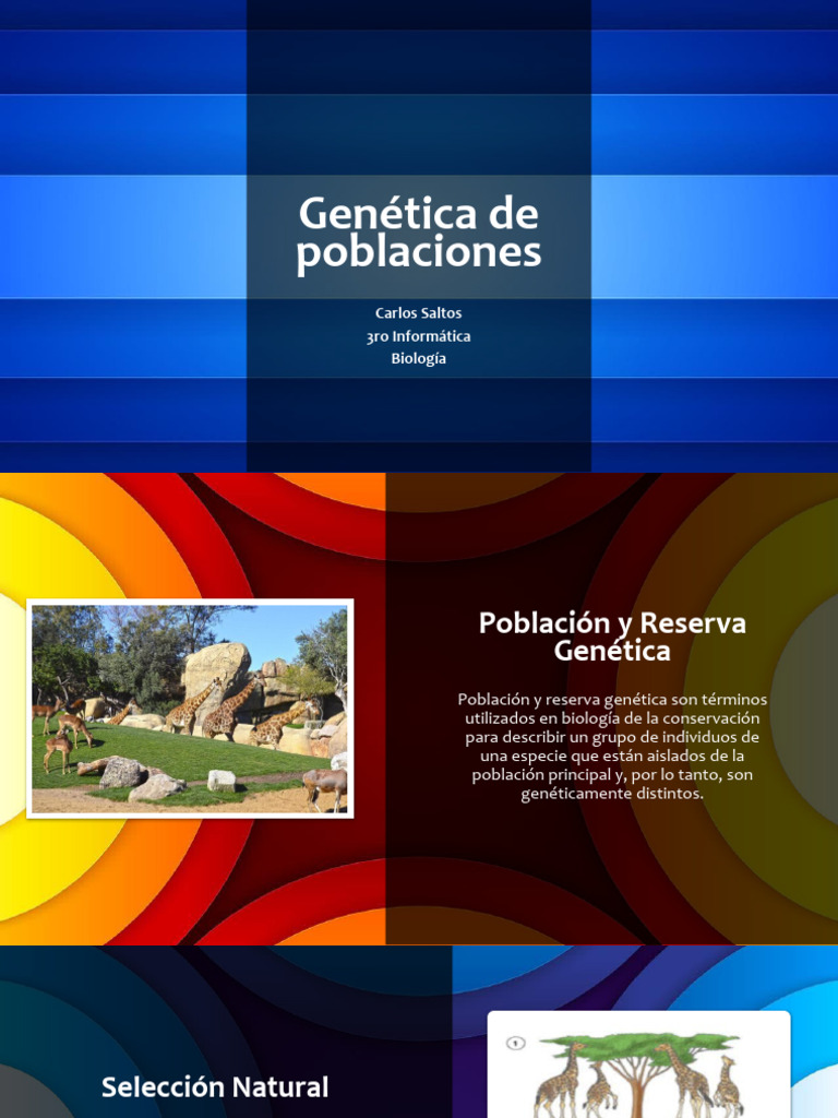 Genética de poblaciones PDF Mutación Seleccion natural