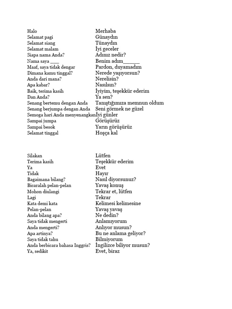 Bahasa Turki | PDF