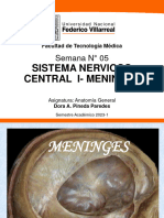 Clase 5 - Sistema Nervioso Central I - Meninges