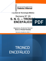 CLASE 5 - TRONCO ENCEFÁLICO - Ok