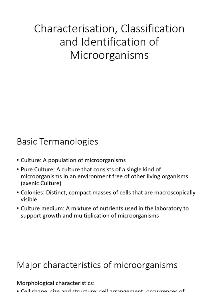 Major Characteristics of Microbes PDF Bacteria Growth Medium