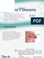 Equipo 3 - Rinitis y Sinusitis