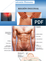Anatomia Humana Cap 13 REGION INGUINAL