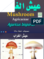 Mushroom