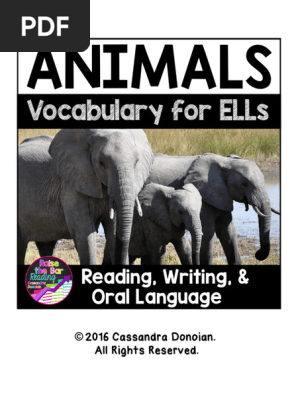 Animals Vocabulary