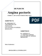 Angina Pectoris Care Plan