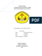 LAPORAN RESMI TSS Granulasi Basah