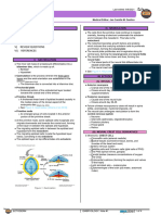 262 - Embryology Physiology) Ectoderm