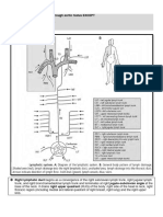 Theory of Anatomy - MBBS Pre-Clinical Phase Lecture Notes & Ebook PDF Download - 3